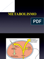 Metabolismo