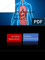 Food Nutrition & Alimentary Canal