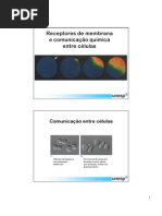 Receptores de Membrana