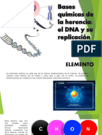 Bases Químicas de La Herencia: Eldnaysu Replicación