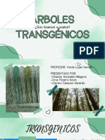 Arboles Transgénicos