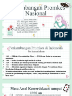 Perkembangan Promkes Nasional