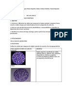 Practica de Tejidos Animales y Vegetales Lab Biologia