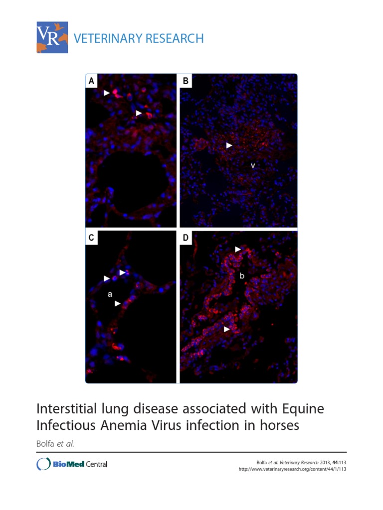 Interstitial Lung Disease Associated With Equine Infectious Anemia