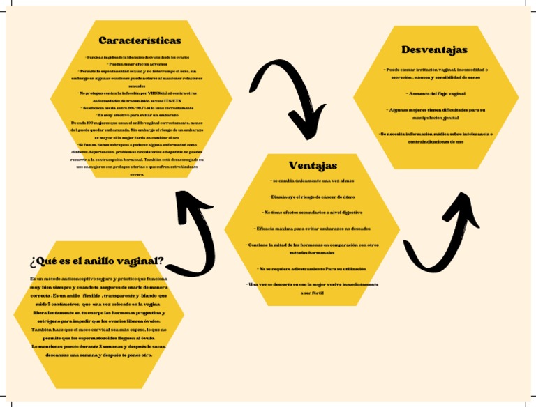 Yellow and Black Bee Hive Process Concept Map | PDF | El embarazo ...