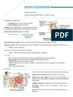 Sistema Respiratorio