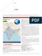 India - Ficha Pais