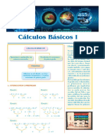 Operacion Basico I y Ii