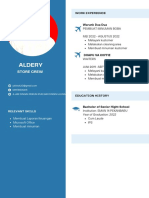 Blue Light Blue Color Blocks Flight Attendant CV