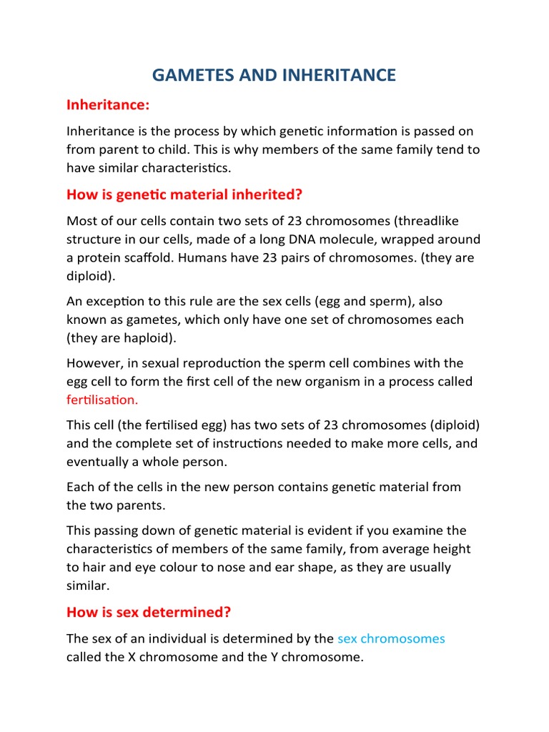 Gametes and Inheritance Explained | PDF