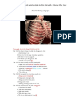 Tổng hợp Câu hỏi trắc nghiệm và đáp án Môn Giải phẫu: Chương Lồng Ngực