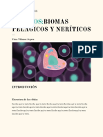 Marinos:: Biomas Pelágicos Y Neríticos