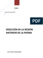 Monografía - Curso de disección