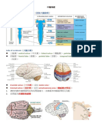 Embryonic Development of Brain