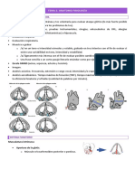 Tema 2. Anatomo Fisiología