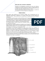 Semiologia Del Aparato Urinario FSRM