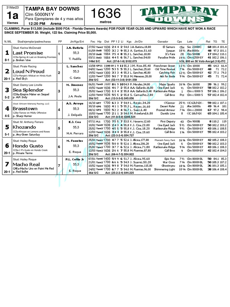 Tampa Bay Downs Hours Today