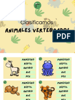 Clasificamos Animales Vertebrados