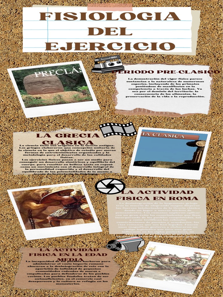 Infografía de FISIOLOGIA DEL EJERCICIO | PDF | Fisiología | Grecia