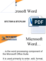 Microsoft Word Basics2