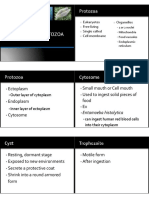 Microbiology Part 7 Parasitc Protozoa