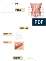 Anatomy: Abdominal