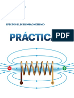 Práctica 3: Efectos Electromagnetismo