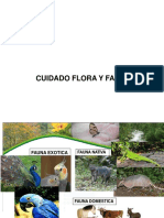 Cuidado Flora y Fauna