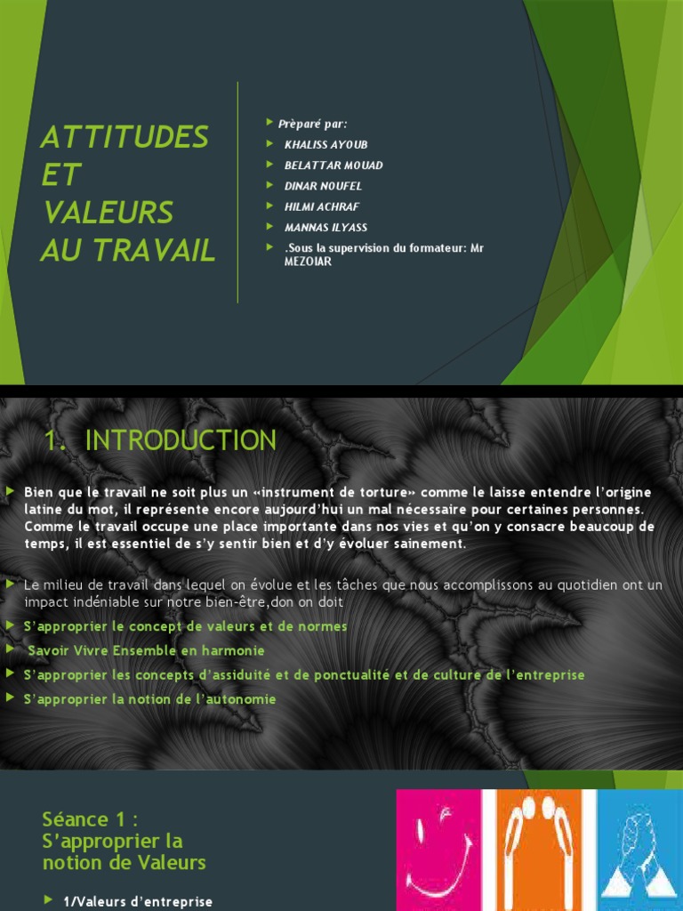 Attitudes Et Valeurs Au Travail | PDF | Business | Psychologie