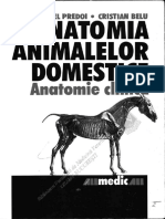 Anatomia Clinica