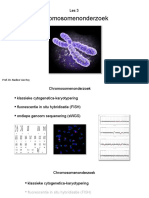 Chromosomenonderzoek: Prof. Dr. Nadine Van Roy