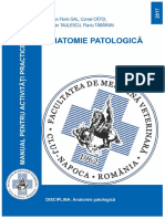 Anatomie Patologică - Manual Pentru Activități Practice 2017