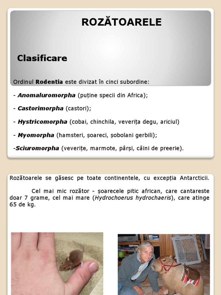 Curs Rozatoare - 1 | PDF