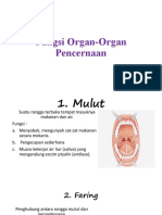 Fungsi Organ-Organ Pencernaan - Abel