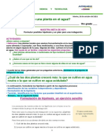 ¿Cómo Crece Una Planta en El Agua?: Nombre Completo - 5to Grado