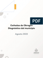 Cañadas de Obregón Diagnóstico Del Municipio: Agosto 2022