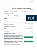 Control crítico supervisor conducción vehículo liviano