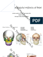 Traumatologia Etajului Mijlociu 2