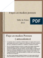 Flujos en Medios Porosos: Taller de Física 2014