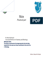 Skin Histology Guide