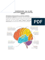 NEUROPSICOLOGIA UNIDAD 1, 2 Guia Reflexiva