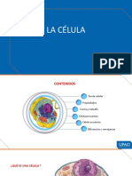 La célula: estructura y tipos