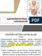 Gastroinstestinal Sistem Hastaliklari
