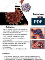3 - Rotavirus