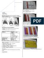 MED2 - Spirometry: Key Parameters and Patterns (Restrictive vs Obstructive