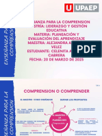 ENSEÑANZA PARA LA COMPRENSION Organizador Grafico