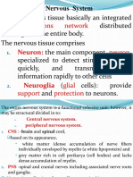 Nervous System: Communications Network
