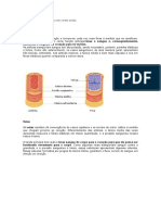 Artérias: Diferença de Artéria e Veia em Cortes Axiais. Tarefa 2.1