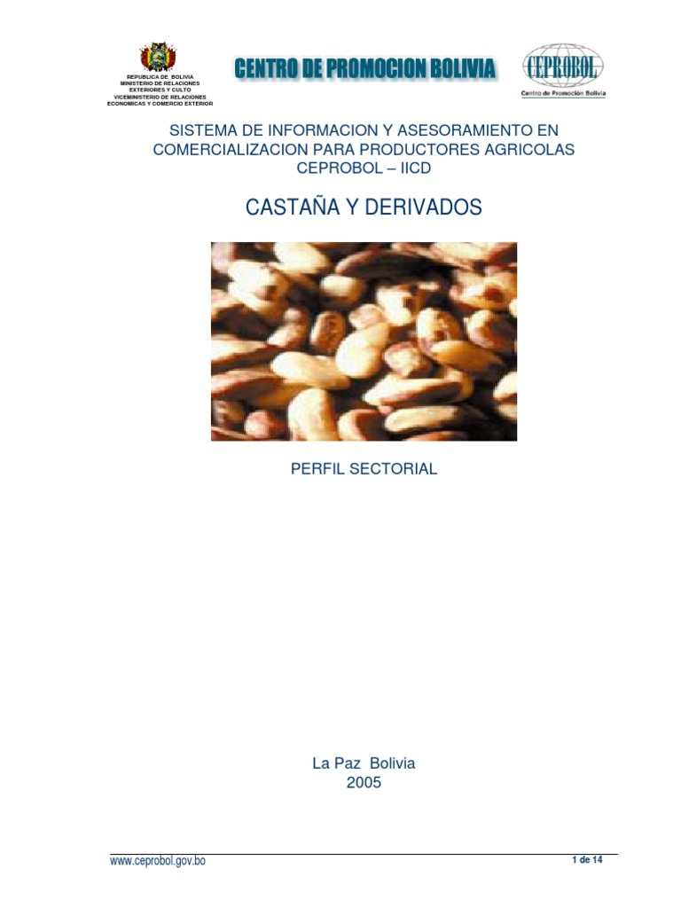 Castaña Y Derivados | PDF | Bolivia | Nuez