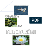 Delta Dunarii 22 Sem 2